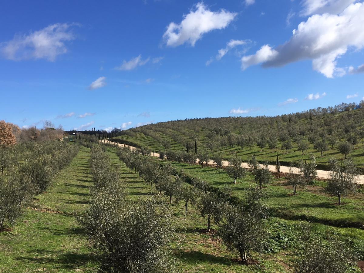Il Podere Di Marfisa Farnese Εξωτερικό φωτογραφία